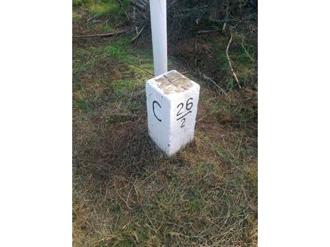 Foto 201